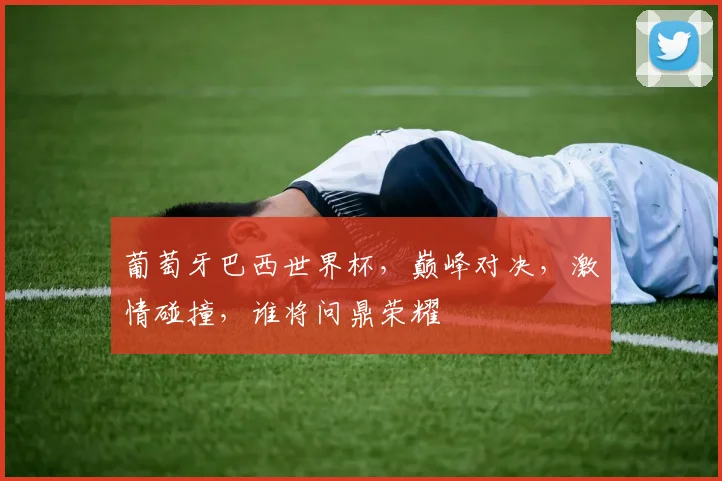 葡萄牙巴西世界杯，巅峰对决，激情碰撞，谁将问鼎荣耀