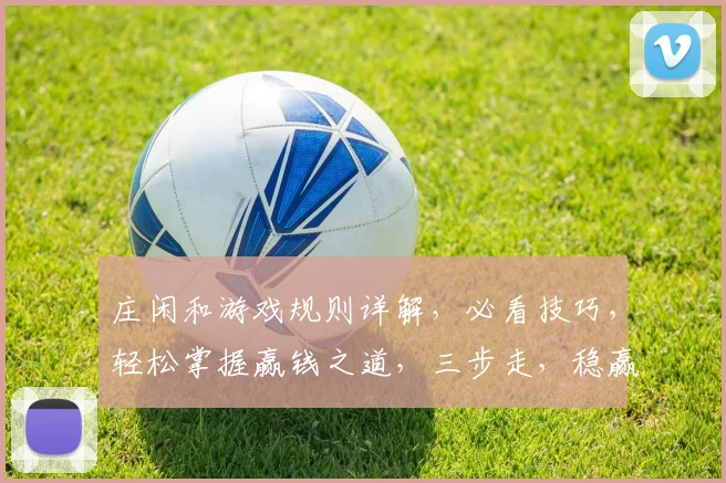 庄闲和游戏规则详解，必看技巧，轻松掌握赢钱之道，三步走，稳赢不赔