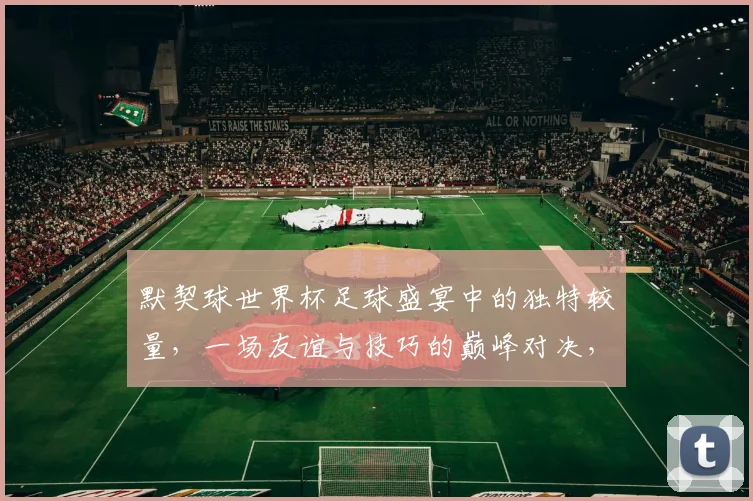 默契球世界杯足球盛宴中的独特较量，一场友谊与技巧的巅峰对决，