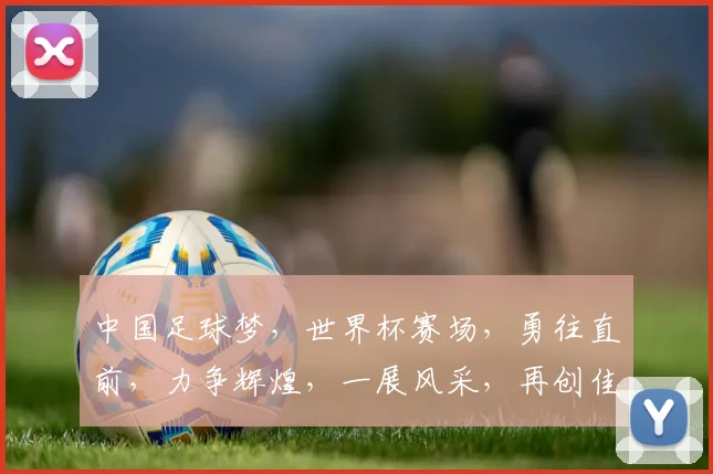 中国足球梦，世界杯赛场，勇往直前，力争辉煌，一展风采，再创佳绩