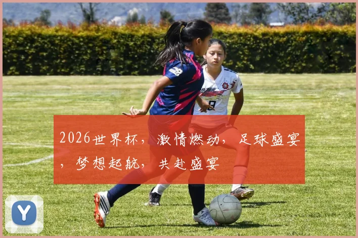 2026世界杯，激情燃动，足球盛宴，梦想起航，共赴盛宴