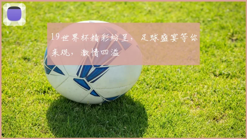 19世界杯精彩纷呈，足球盛宴等你来观，激情四溢